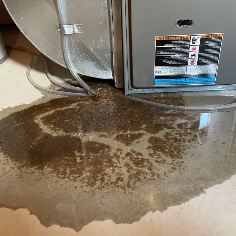 Pipe Burst and Leak Restoration in City of Radford, VA