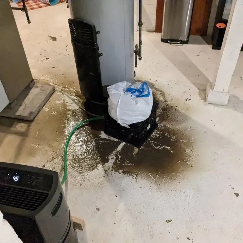 Sewage Backup Cleanup Service in City of Radford, VA